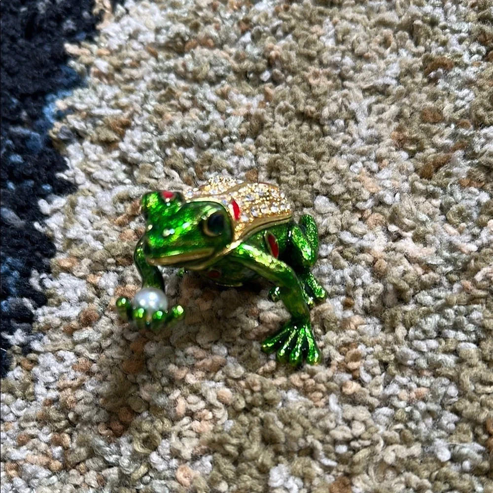 None adorable frog